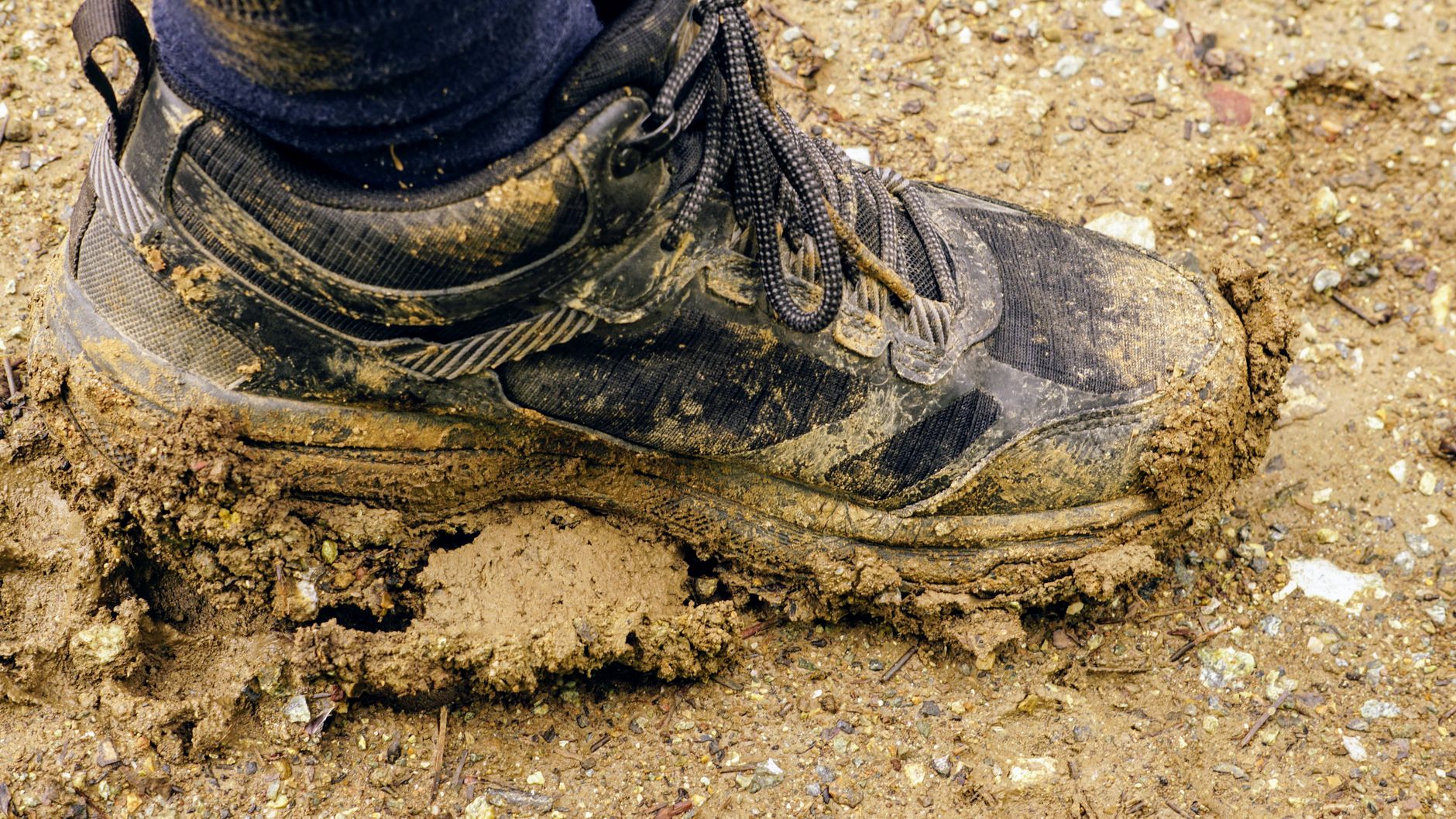 chaussures de marche